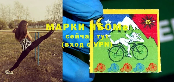 винт Абаза